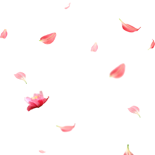 Latice ruža